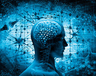 Imagen I Congreso Internacional sobre los Trastornos del Neurodesarrollo. Una propuesta al día completa desde una perspectiva funcional